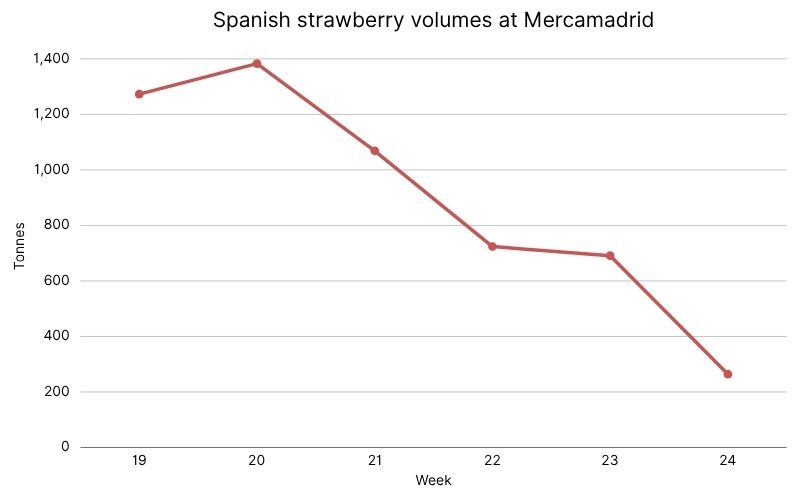 Spanish strawberry volumes at Mercamadrid.jpg